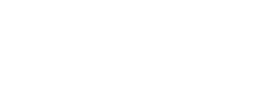Valorant 